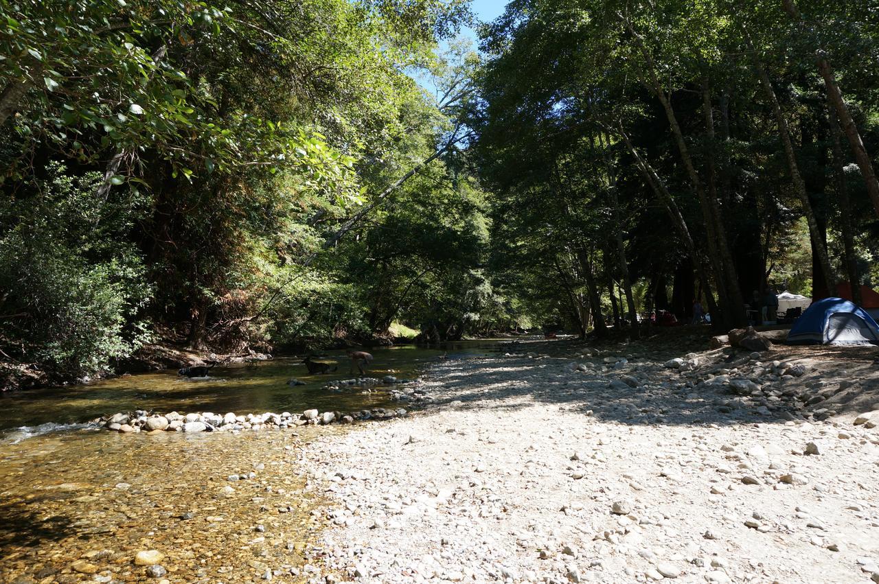 Riverside Campground & Cabins 빅서 외부 사진